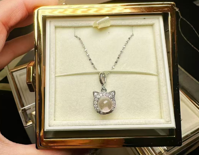 铁西区宠物纪念品制作哪家好